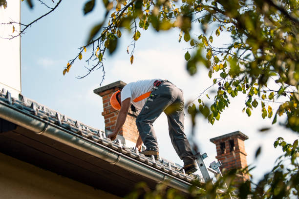 Best Metal Roofing Contractor  in Elmore, OH
